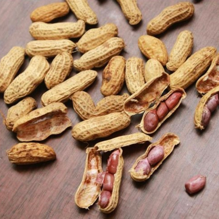 Boiled Peanuts
