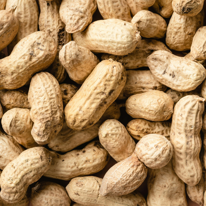 Boiled Peanuts
