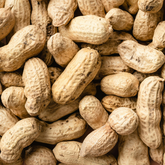 Boiled Peanuts